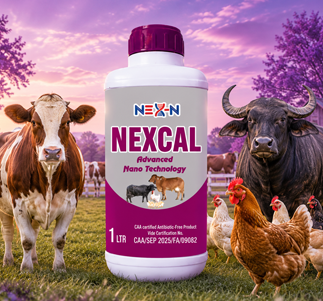 NEX-N NEXCAL