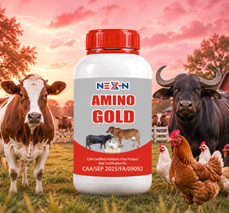NEX-N AMINO GOLD