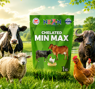 NEX-N CHELATED MIN MAX
